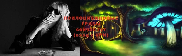 соль ск Верея