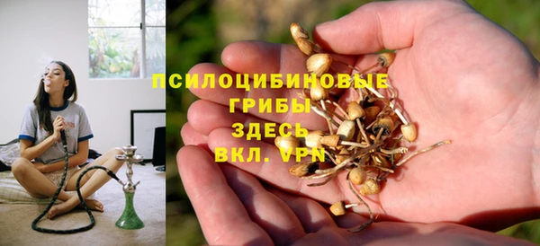 соль ск Верея