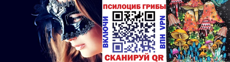 Купить  Барыш  Галлюциногенные грибы прущие грибы 