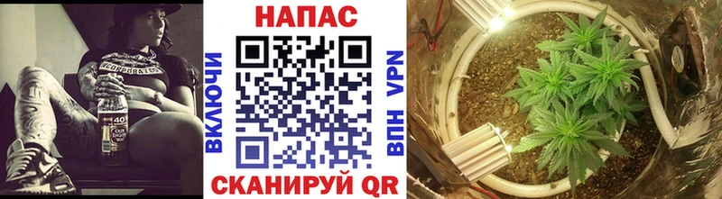 Бошки марихуана OG Kush  Купить закладки  Барыш 